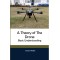 A Theory of the Drone: Basic Understanding