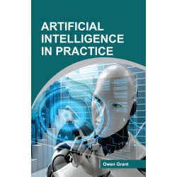 Artificial Intelligence in Practice