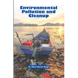 ENVIRONMENTAL POLLUTION AND CLEANUP