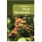 Concepts in Plant Nematodes